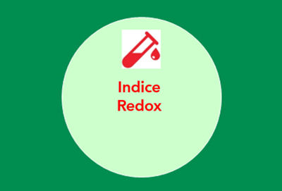 Farmacie Torino - Indice Redox