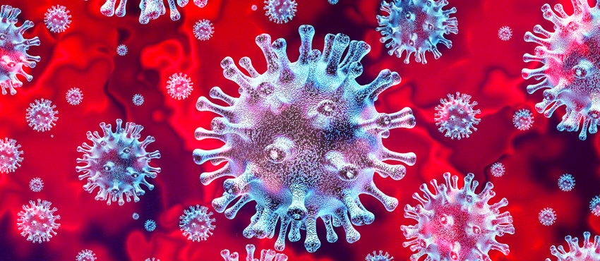 coronavirus