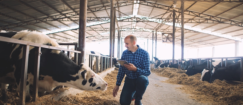 Animali e agricoltura ecosostenibile: il binomio del futuro