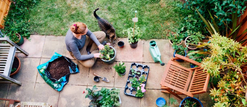 Anche il giardinaggio può aiutare a prevenire i tumori!