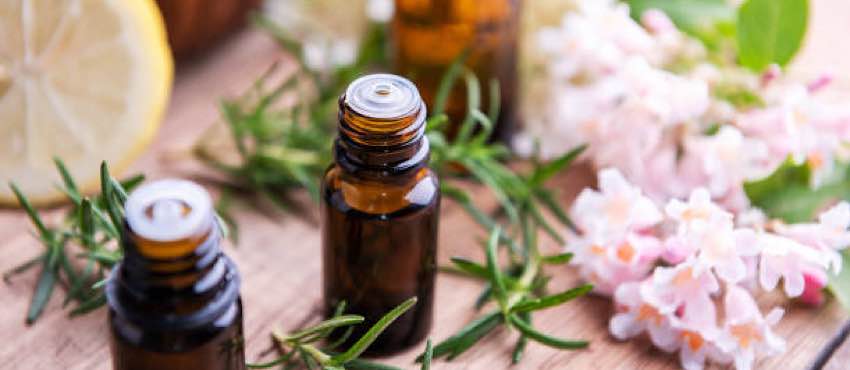 Naturale sì, ma con attenzione: guida pratica alla fitoterapia